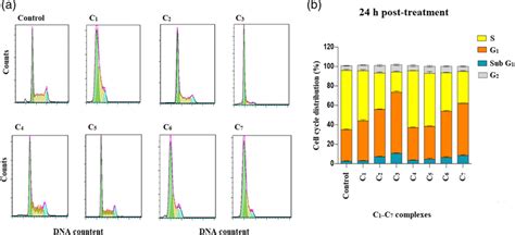 Image result for Cell Cycle Flow Kit