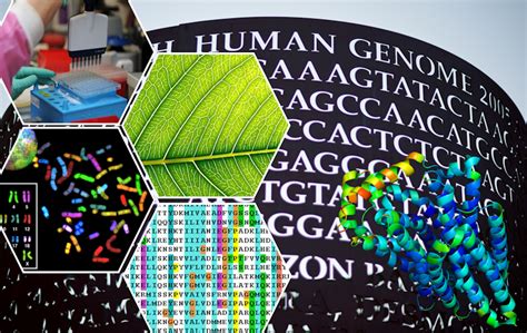 Image result for R Data Visualization in Bioinformatics