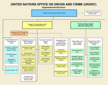 Toradh íomhá ar UNODC Organizational Structure