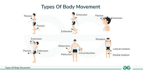 Image result for Protraction Movement Example