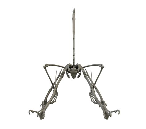 Image result for Completely Randomized Block Design