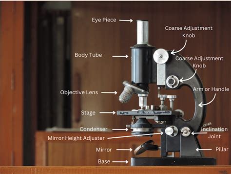 Image result for Compound Microscope Construction