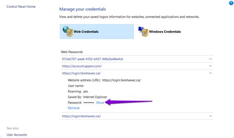 Image result for Windows Credential Manager