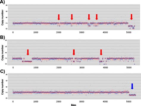 Image result for Copy Number Variation Line Plot