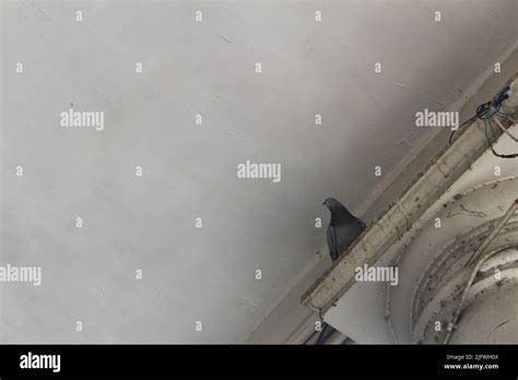 Image result for Connaught Place Pin Code