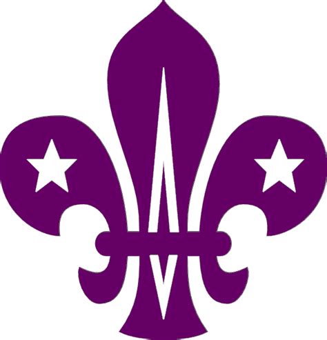 Image result for Scout Logo CSS