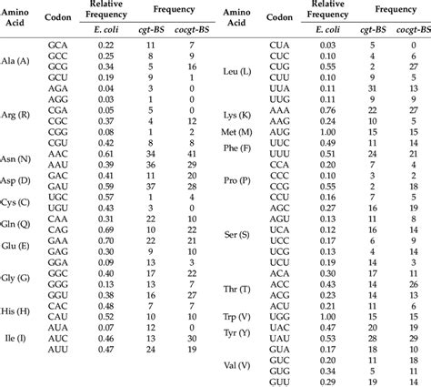 Image result for Codon Usage E. Coli