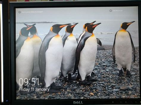 Image result for Linux Troll Windows