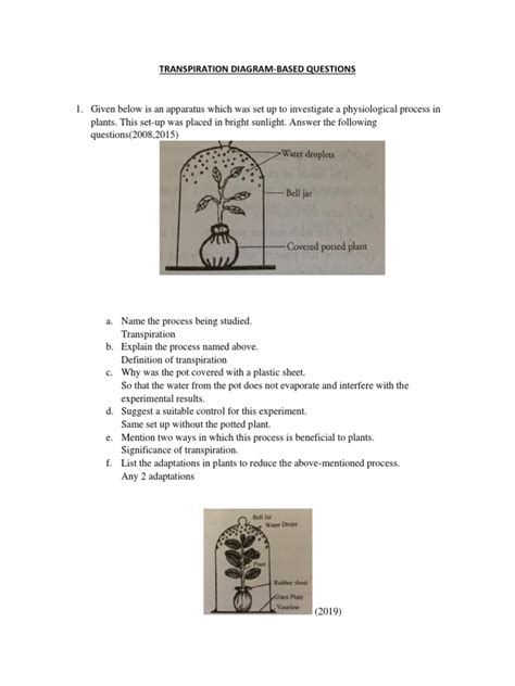 Image result for Transpiration Stream Detail Diagram
