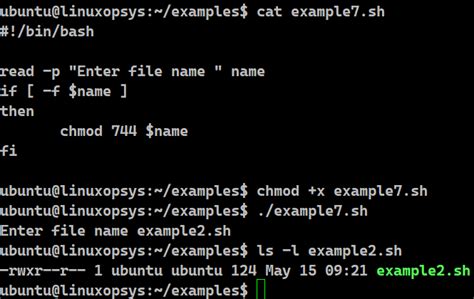 Image result for Bash File Example