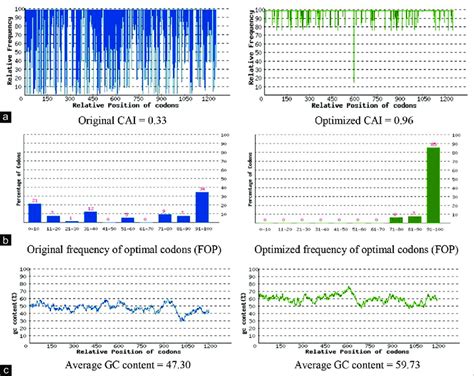 Human Codon Usage Chart に対する画像結果