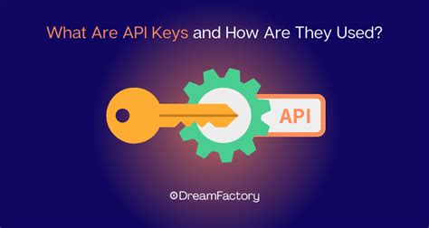 Image result for API Key Meaning