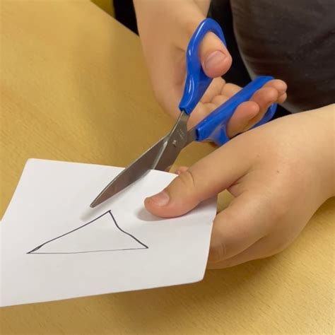 Image result for Loop Scissors