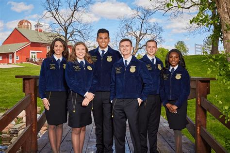 Toradh íomhá ar FFA Ring