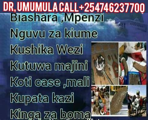 Image result for Dakdari GUI