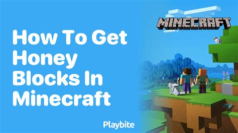 Image result for How to Get Honey Blocks in Minecraft