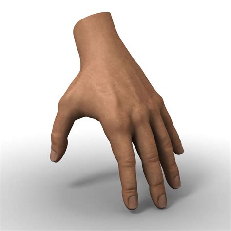 3D Hand Autodesk に対する画像結果