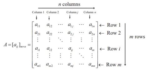 Matrix General Form に対する画像結果