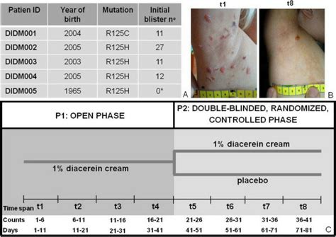 Phase Randomized に対する画像結果