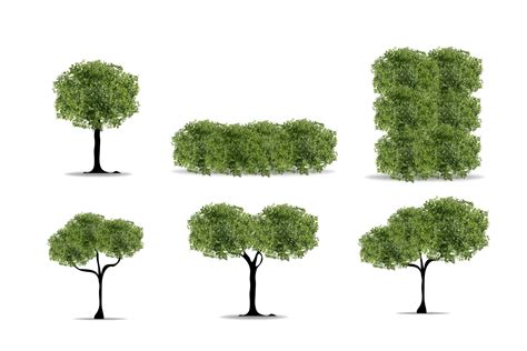 Realistic Tree Vector に対する画像結果