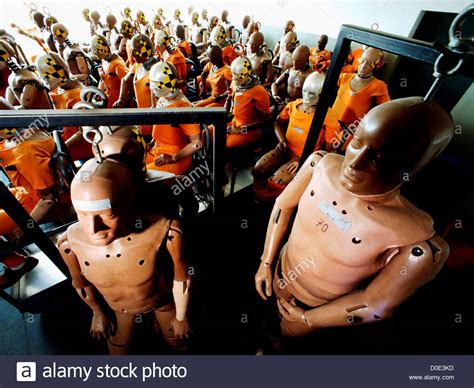 Image result for Test Dummies Crash Simulation