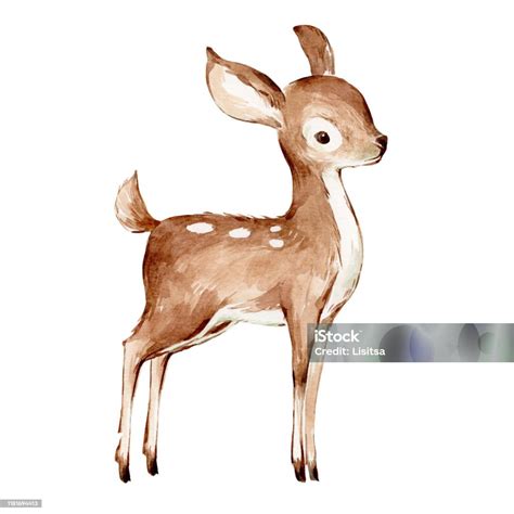 Image result for Baby Fawn Drawing