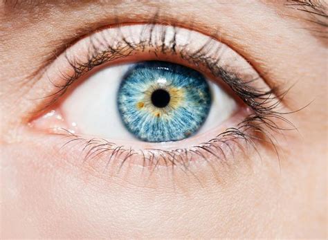 Light Blue Eyes Albinism に対する画像結果