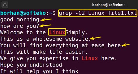 Simple Example of Grep Command in Linux に対する画像結果