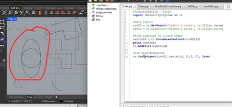 Image result for Rhino Python