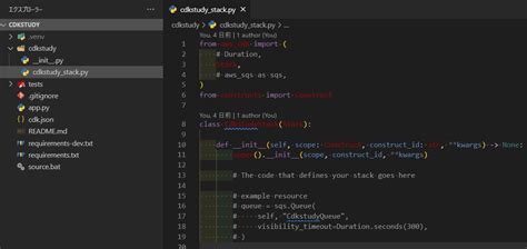 Python AWS に対する画像結果