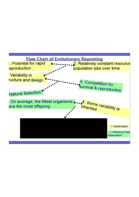 Image result for Different Evolution Optimization Flowchart