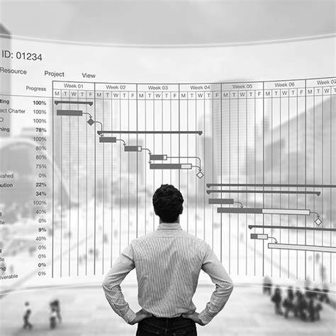 Image result for Program Management and Engineering