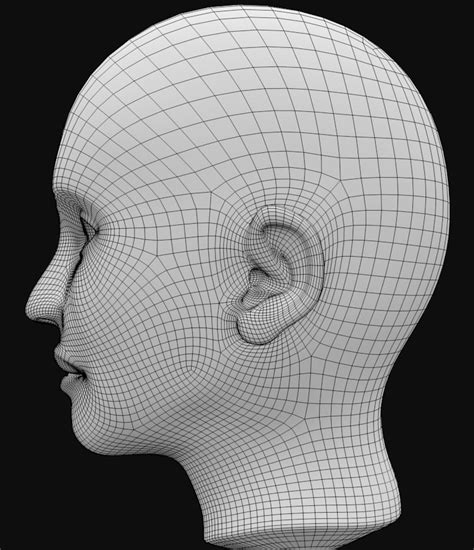 Image result for Blender Head Topology
