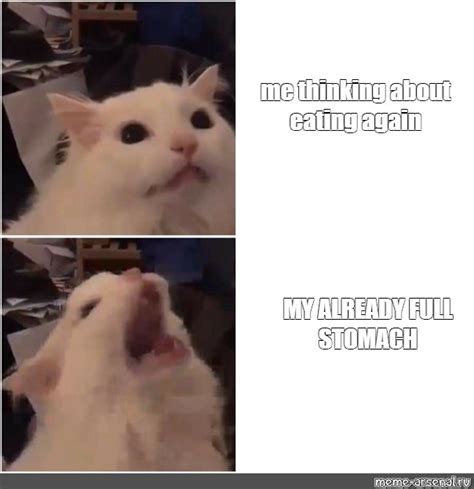 Image result for Python with a Full Stomach Meme