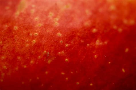 Toradh íomhá ar Apple Skin Texture