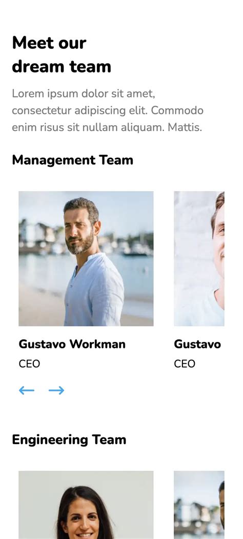 Image result for Team Page Design HTML with Message CodePen