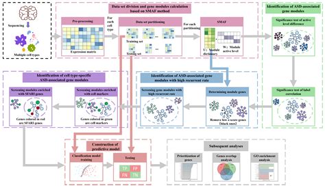 Image result for Gene Module