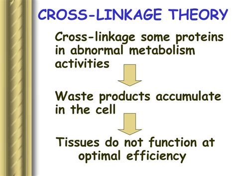 Image result for Stochastic Theory of Aging Diagram
