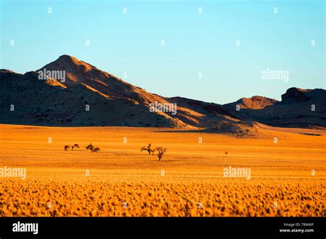 Image result for Solitaire Namibia