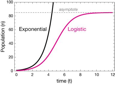 Logistic Function Graph に対する画像結果