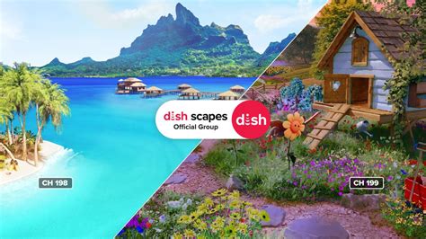Image result for DishTV Scapes