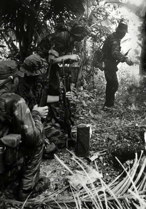 Afbeeldingsresultaten voor Navy SEALs in Vietnam