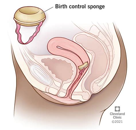 Image result for How to Use Today Sponge