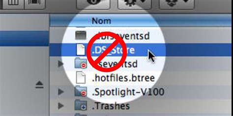 Image result for Disable DS Store Files