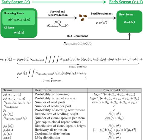 Afbeeldingsresultaten voor Iterative Life Cycle Model for M-PESA