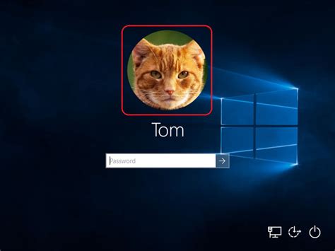 Image result for Windows User Image