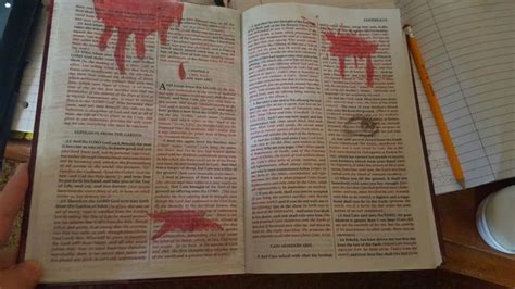 Genesis Chapter 4 Cain and Abel | Cain and abel, Chapter, Worship