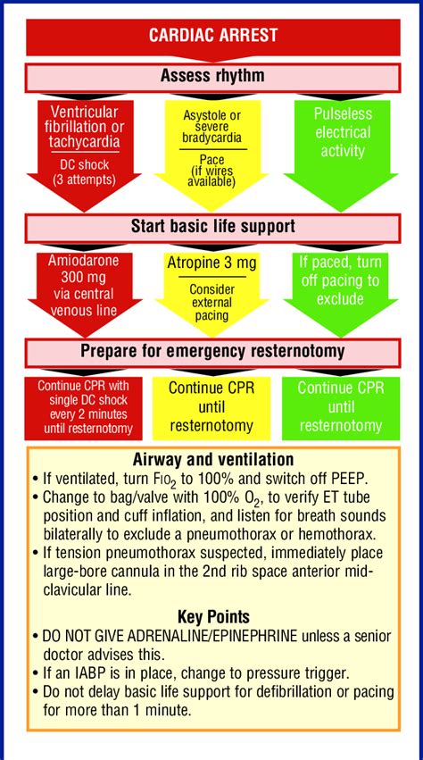 Toradh íomhá ar Als Cardiac Arrest Algorithm