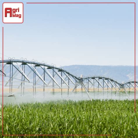 Toradh íomhá ar How to Set Up a Irrigation System for a Lawn