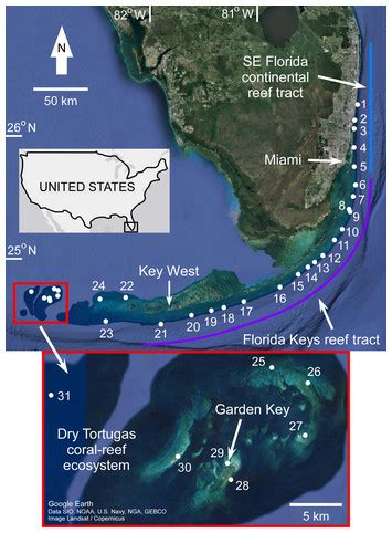 A revised Holocene coral sea-level database from the Florida reef tract ...